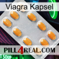 Viagra Capsule cialis3